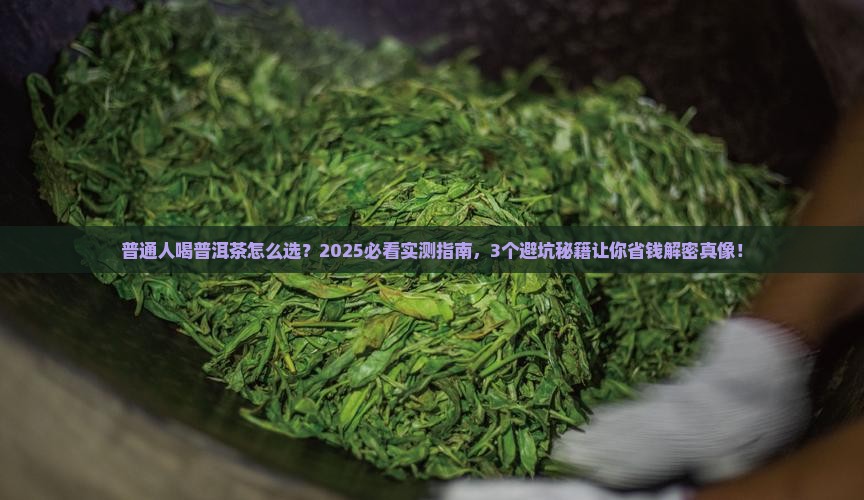 一般人适合喝哪种普洱茶