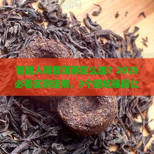 一般人适合喝哪种普洱茶