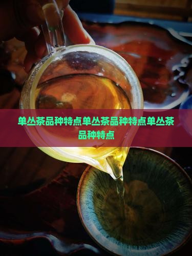 单丛茶品种特点