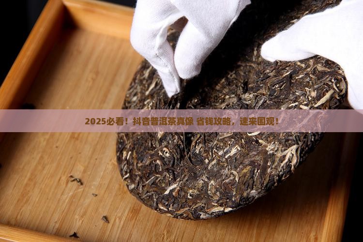抖音很火的普洱茶