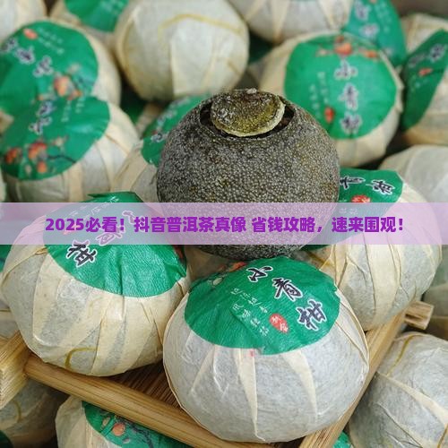 抖音很火的普洱茶