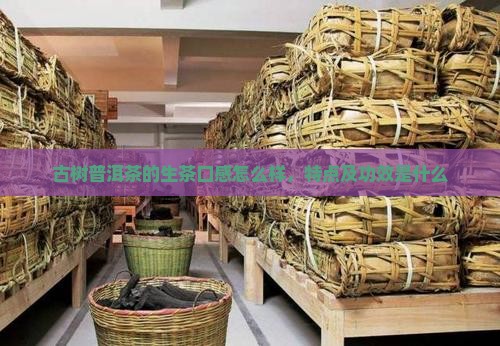 古树普洱茶的生茶口感