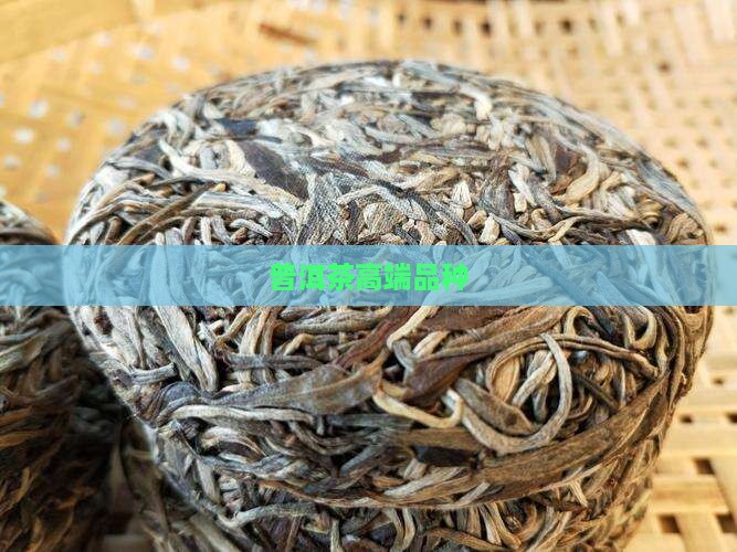 普洱茶高端品种