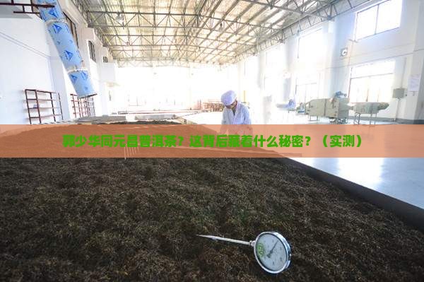 郭少华同元昌普洱茶