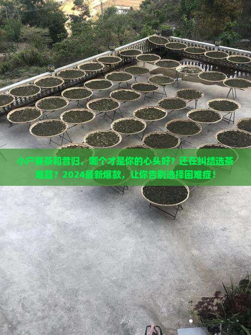 小户赛茶和昔归