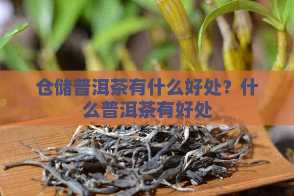 仓储的普洱茶有什么好处