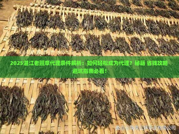 湛江老班章代理要什么条件