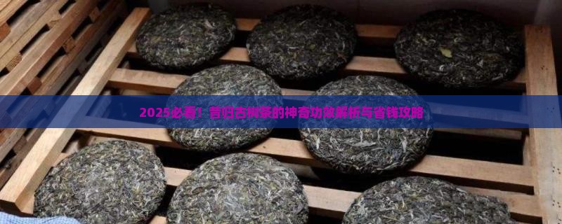 昔归古树茶的功效