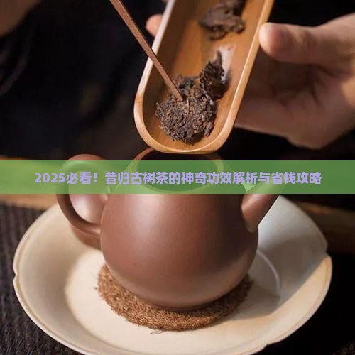昔归古树茶的功效