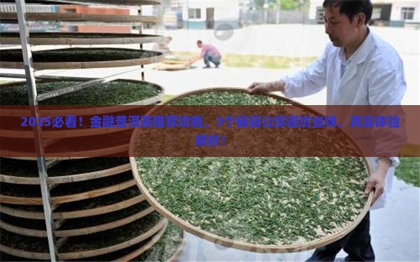 金融普洱茶推荐