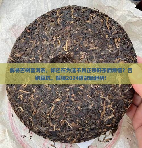醇易古树普洱茶
