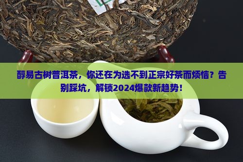 醇易古树普洱茶