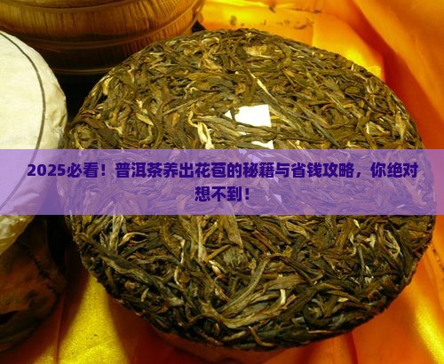 普洱茶怎么养才能长花苞
