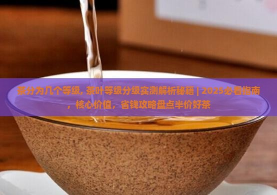 茶分为几个等级