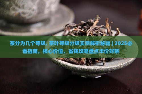 茶分为几个等级