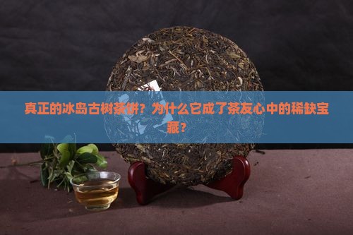 真正的冰岛古树茶饼