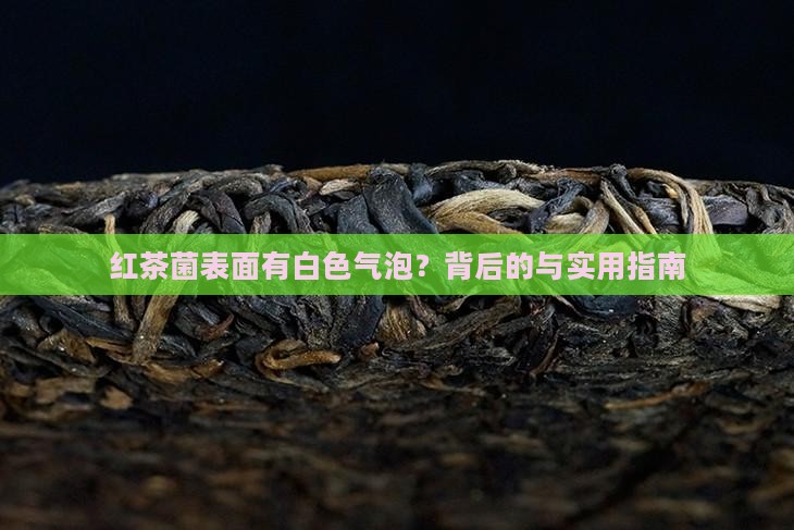 红茶菌表面有白色气泡