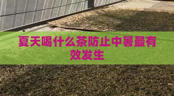 夏天喝什么茶防止中暑最有效发生