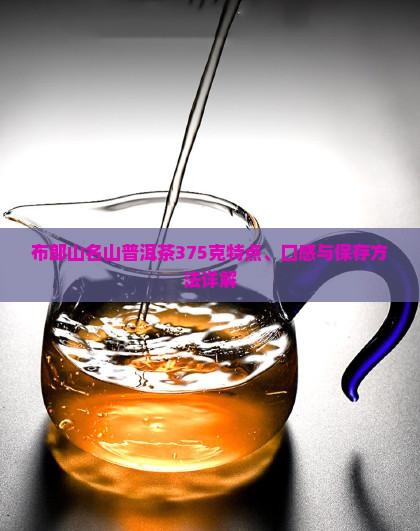布郎山名山普洱茶375克特点、口感与保存方法详解