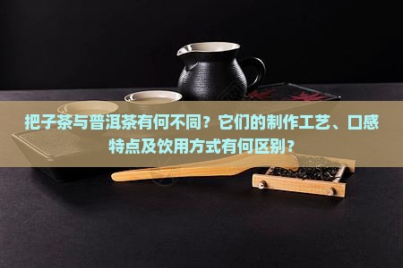 把子茶与普洱茶有何不同？它们的制作工艺、口感特点及饮用方式有何区别？