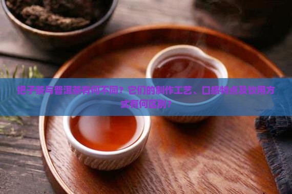 把子茶与普洱茶有何不同？它们的制作工艺、口感特点及饮用方式有何区别？