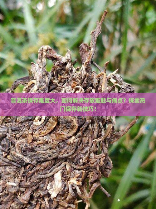 普洱茶保存难度大，如何解决存放难题与痛点？探索热门保存新技巧！
