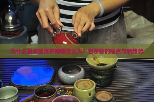 为什么昌泰普洱茶南糯这么火？老茶客的痛点与新趋势