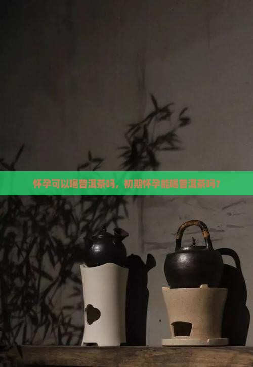 怀孕可以喝普洱茶吗，初期怀孕能喝普洱茶吗？
