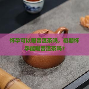 怀孕可以喝普洱茶吗，初期怀孕能喝普洱茶吗？
