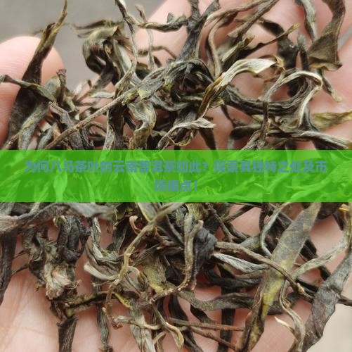 为何八马茶叶的云南普洱茶如此？探索其独特之处及市场痛点！
