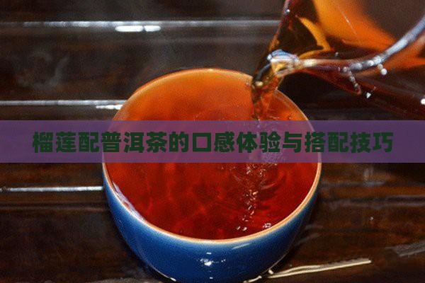 榴莲配普洱茶的口感体验与搭配技巧