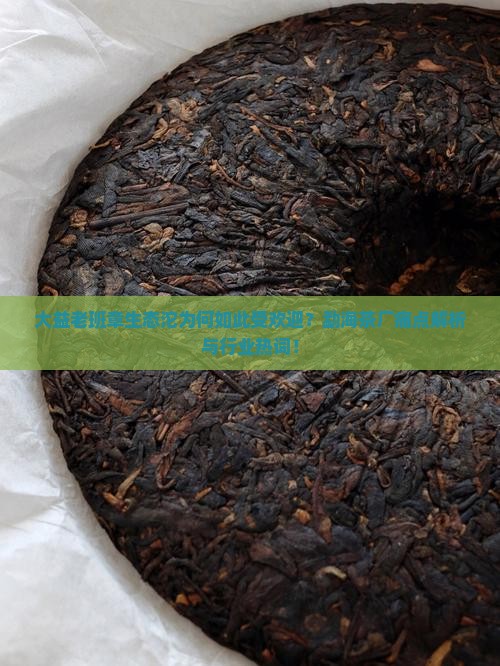 大益老班章生态沱为何如此受欢迎？勐海茶厂痛点解析与行业热词！