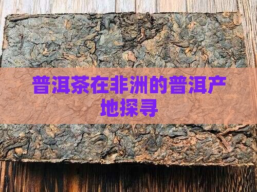 普洱茶在非洲的普洱产地探寻