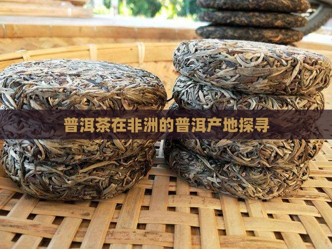 普洱茶在非洲的普洱产地探寻