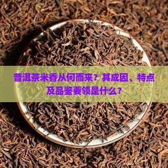 普洱茶米香从何而来？其成因、特点及品鉴要领是什么？
