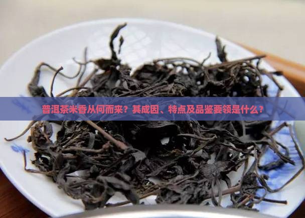 普洱茶米香从何而来？其成因、特点及品鉴要领是什么？