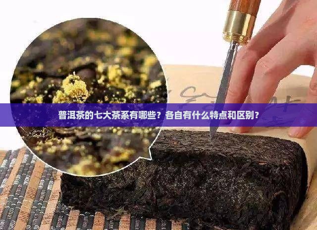 普洱茶的七大茶系有哪些？各自有什么特点和区别？