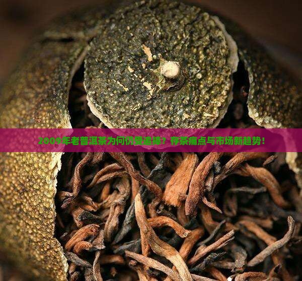 2009年老普洱茶为何仍受追捧？存茶痛点与市场新趋势！