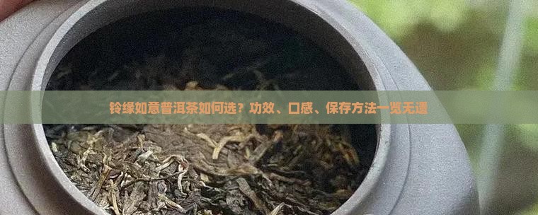 铃缘如意普洱茶如何选？功效、口感、保存方法一览无遗