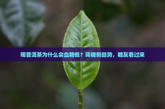 喝普洱茶为什么会血糖低？降糖新趋势，糖友看过来
