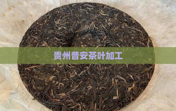 贵州普安茶叶加工