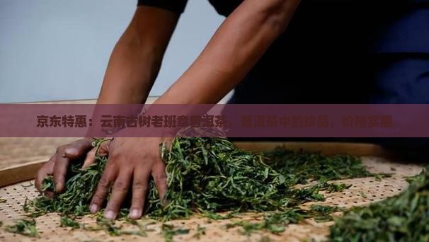 京东特惠:云南古树老班章普洱茶,普洱茶中的珍品,价格实惠 京东特惠:云南古树老班章普洱茶,普洱茶中的珍品,价格实惠