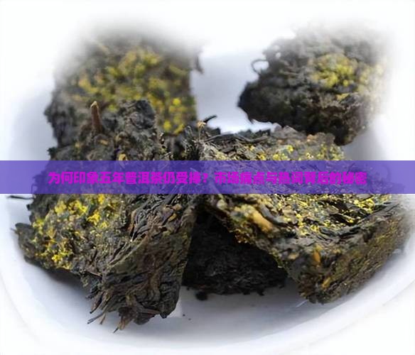 为何印象五年普洱茶仍受捧？市场痛点与热词背后的秘密