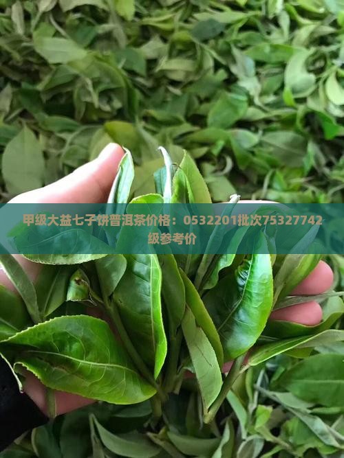 甲级大益七子饼普洱茶价格：0532201批次75327742级参考价