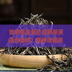 普洱茶生茶还是熟茶更适合减肥？哪种效果更好更快？