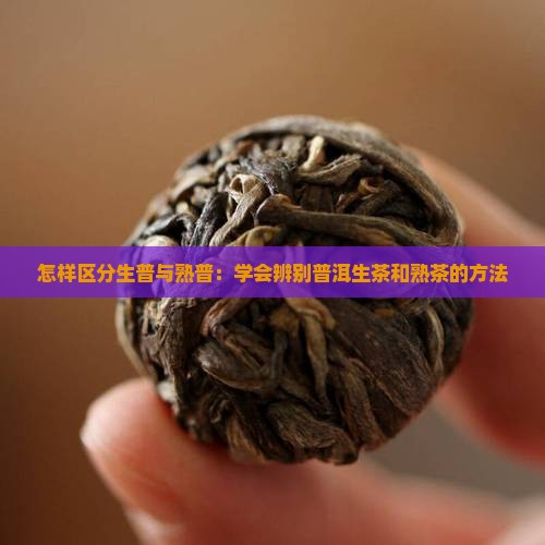 怎样区分生普与熟普：学会辨别普洱生茶和熟茶的方法