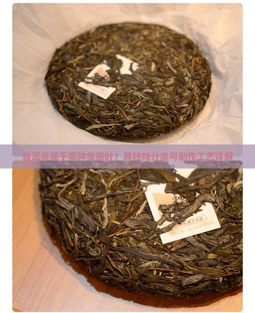 普洱茶属于哪种类茶叶？其独特分类与制作工艺详解
