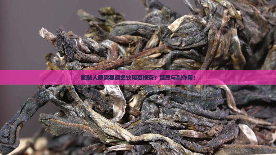 哪些人群需要避免饮用葛根茶？禁忌与副作用！