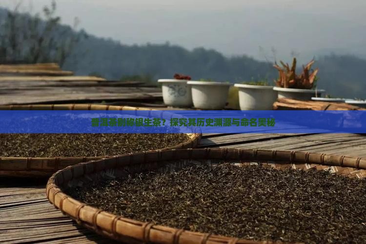 普洱茶别称银生茶？探究其历史渊源与命名奥秘