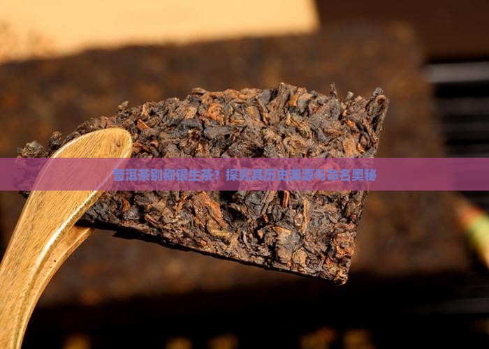 普洱茶别称银生茶？探究其历史渊源与命名奥秘